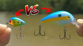 Micro Crankbait Vs Big Crankbait [upl. by Anaiad785]