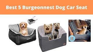 Best 5 Burgeon Nest Dog Car Seat Reviews  Burgeonnest [upl. by Dermott99]