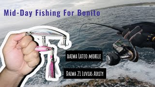 Mid Day Fishing For Bonito  Land based  Rock Fishing [upl. by Bergmans]