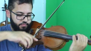 HUNTER x HUNTER  In The Palace  Agitato  Violin Solo [upl. by Elsworth]