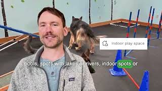 Sniffspot Is Airbnb for Dog Parks [upl. by Yren]