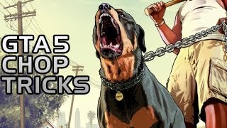 GTA 5 Teach Chop Tricks Walkthrough [upl. by Banquer]