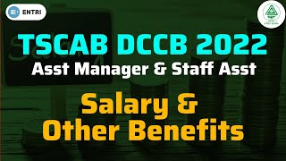 TSCAB 2022  Salary amp Other Benefits  TSCAB DCCB  Assistant Manager Staff Assistant  Telugu [upl. by Wendi]