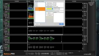ReVoice Pro 32 Pt 3 — Managing Track Groups [upl. by Acisse]