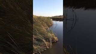 Ardoch Wildlife Refuge  North Dakota USA [upl. by Thurnau]