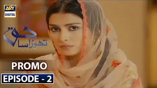 Thora sa hak ep 2 promo only on ary digital [upl. by Godard]