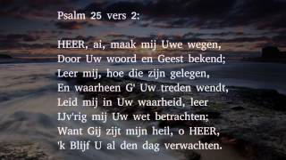 Psalm 25 vers 2 3 en 6  HEER ai maak mij Uwe wegen [upl. by Lavelle]