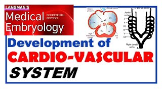 Langman Chapter13  Embryology of Cardiovascular System  Dr Asif Lectures [upl. by Ralyt]