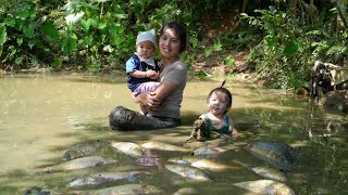 How to harvest giant fish ponds to sell at the market  cook with your children [upl. by Bruns]