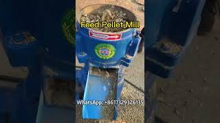 The Science of Pelletizing Understanding the Feed Pellet Milling Process woodworking wood [upl. by Arin453]