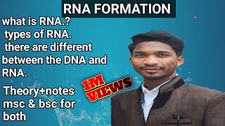 RNA FORMATION  RNA निर्माण RNA क्या है theory notes msc [upl. by Eskill]