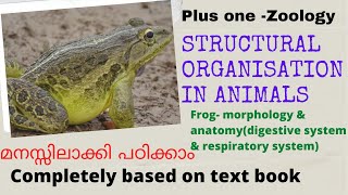 PLUS ONEZOOLOGYCHAPTER 3STRUCTURAL ORGANISATION IN ANIMALSFROGMORPHOLOGYANATOMYMALAYALAM [upl. by Enetsirhc444]