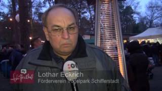 Feuerschein und Glühweinduft  Waldweihnacht Vogelpark Schifferstadt [upl. by Enimajneb]