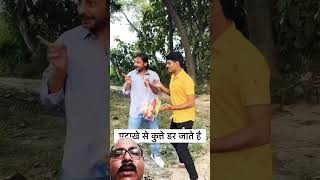 पटाखों से कुत्ते डर जाते है 😂 shorts MVS Films [upl. by Cary169]