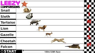 Speed Comparison Slow VS Fast  LeeZY Comparisons [upl. by Estelle501]