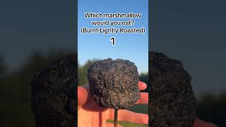 Which marshmallow are you 🤷🏽‍♂️ With mallowasmr [upl. by Agee]