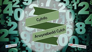 173 RhS Cyfrifo Arwynebedd Cylch [upl. by Anaujahs]