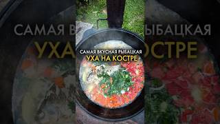 УХА НА КОСТРЕ Самый Вкусный Рецепт уха шефбоков простопесня [upl. by Wellesley768]