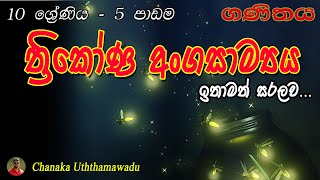 maths  grade 10  5 th lesson  ත්‍රිකෝණ අංගසාම්‍යය [upl. by Limann]