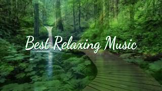 Relaxing Piano Music Romantic Music Beautiful Relaxing Music Sleep Music Stress Relief ★5 [upl. by Adnohs]