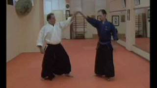 Sensei Roy Jerry Hobbs ve Adnan Safak Yuksel Dentokan jujutsu 14 Kote GaeshiYondanGiwmv [upl. by Eelymmij]