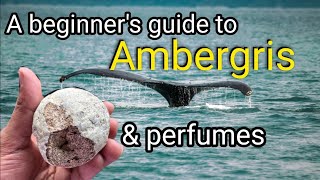 Ambergris in perfumes  A Beginners Guide [upl. by Yebloc]