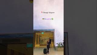 International layover🇸🇬 vistara ✈️💜 cabincrew shortsfeed trending trendingreels vlog airport [upl. by Frankhouse83]