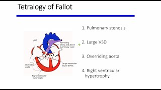 Cyanotic congenital heart diseases [upl. by Junia]