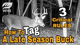 3 Proven Rules For Late Season Deer Hunting [upl. by Mika]