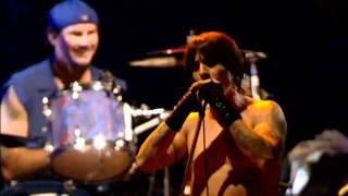 Red Hot Chili Peppers  Californication Live At Slane Castle [upl. by Killam32]