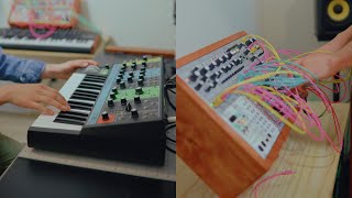 Tromos  Moog Grandmother amp Modular [upl. by Badr883]