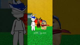 when doge meet admin in blox fruits 🗿 roblox robloxfruit robloxanimation bloxfruits [upl. by Kliment675]