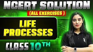 Life Processes  Complete NCERT WITH BACK EXERCISE in 1 Video  Class 10th Board [upl. by Anelhtac]