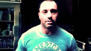 Joe Rogan supplement stack [upl. by Kreitman]