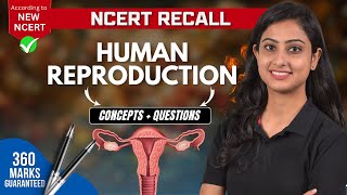 Human Reproduction  Concepts  Questions  NEET Biology  NCERT RECALL  NEET 2024 [upl. by Hploda427]