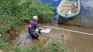 OLHA ESSA IDEIA DE OXIGÊNIO PARA OS PEIXES QUE EU TIVE O QUE VOCÊS ACHARAM [upl. by Juetta]