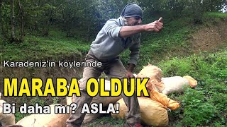 Karadenizin köylerinde kendimizi MEVSİMLİK İŞÇİ OLARAK TANITTIK [upl. by Westbrook849]