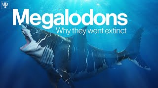 The Truth Behind Why Megalodon Went Extinct  Encyclopaedia Britannica [upl. by Hudnut]