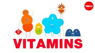 How do vitamins work  Ginnie Trinh Nguyen [upl. by Peedus]