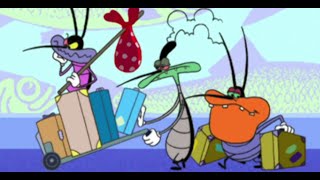 हिंदी Oggy and the Cockroaches 😨 चलती 🧳 Hindi Cartoons for Kids [upl. by Riamo]