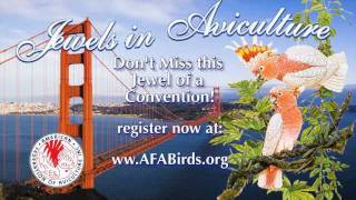 American Federation of Aviculture 37th Annual Convention [upl. by Tacy]