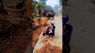 O Rab Di Khel Hai Khele comady video 🤣😂 shortvideo funnymanimeraj [upl. by Adrell]