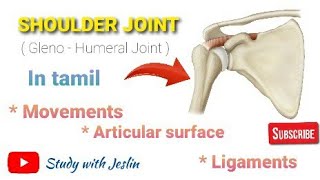 Shoulder Joint Anatomy  In tamil  Study with Jeslin  Key points of shoulder joint [upl. by Natalina]