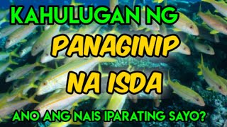 Kahulugan ng Panaginip na Isda Ano ang Nais Iparating Sayo [upl. by Shaner]