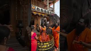 Lakshmi Mata abhishekam lakshmi abhishekam lakshmipuja trending virqlshorts viralvedio gods [upl. by Aniluap38]