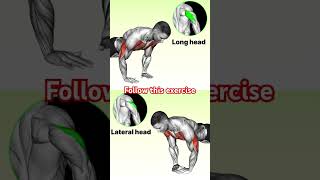 quotUnlock Maximum Strength Long Head Lateral Head Tricep Exercises You MUST Try 🔥💪quot🥵 shorts video [upl. by Johnathon]