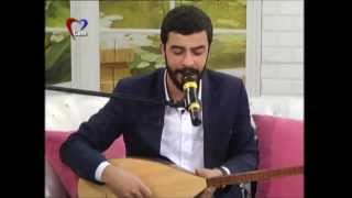 Vedat Demir  Telli Telli Canlı [upl. by Dodie]