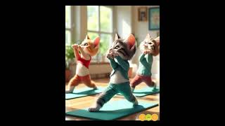 Cat Yoga Time A soft moment for kittenscat yoga baby cat soft moment [upl. by Nahrut]