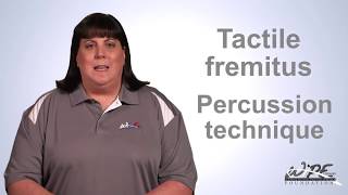 Percussion and Tactile Fremitus Lung Examination [upl. by Selway]