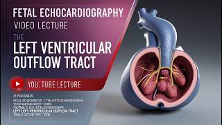 Fetal Echocardiography Left Ventricular Outflow Tract View [upl. by Marceau951]